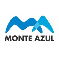 Monte Azul Terminales & Logistica