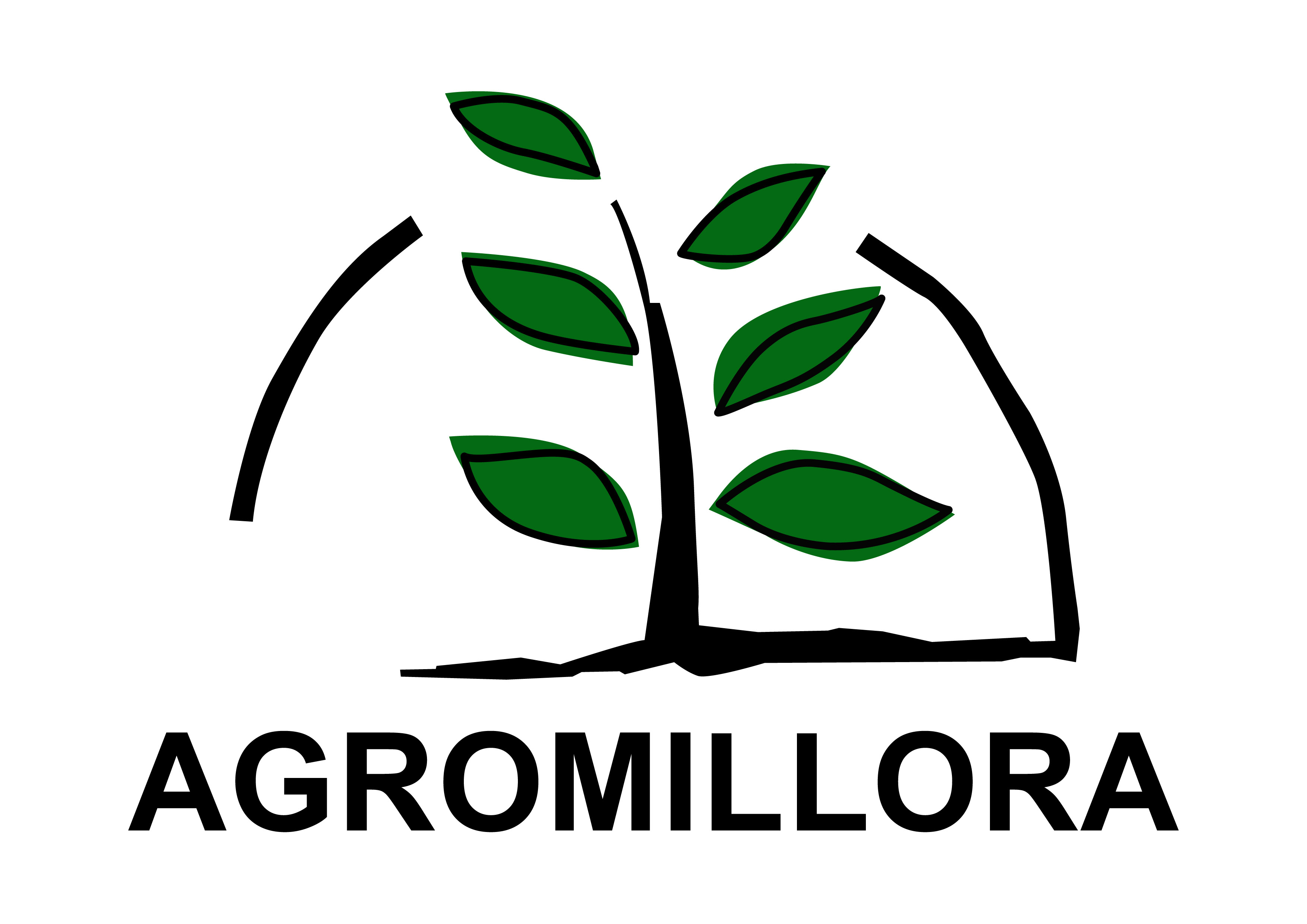 Agromillora